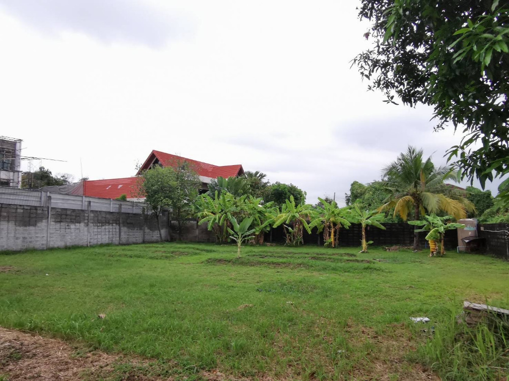 Panya Village Pattanakarn 30 land for sell 165sqwah 41,500,000 Am: 0656199198