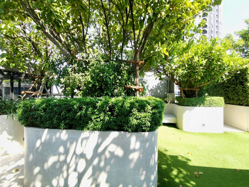 Ashton Sukhumvit 41: 3bed 3bath Duplex with private rooftop garden 131.69sqm. 24,390,000 Am: 0656199198