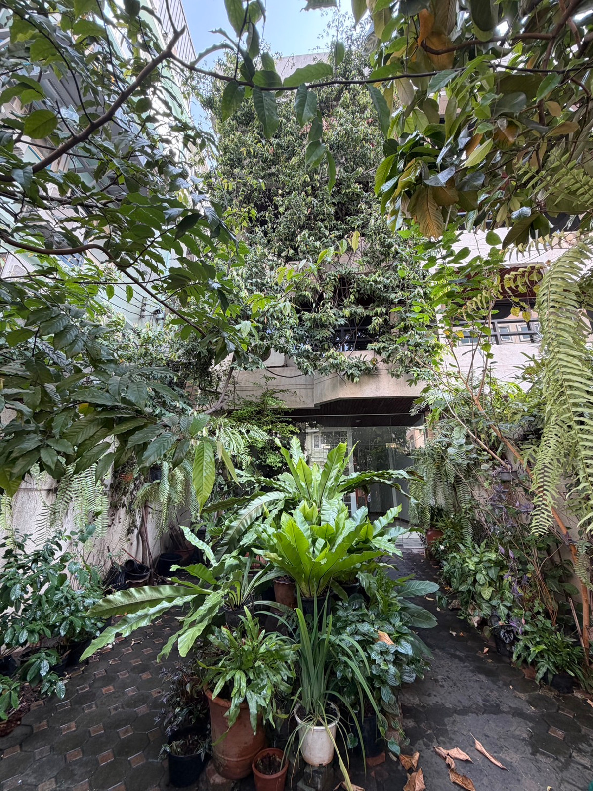 Townhome Thonglor soi 7 950m from BTS Thonglor: 4Fl 36sqwah 450sqm. 6bed 4bath 250,000/mth. Am: 0656199198