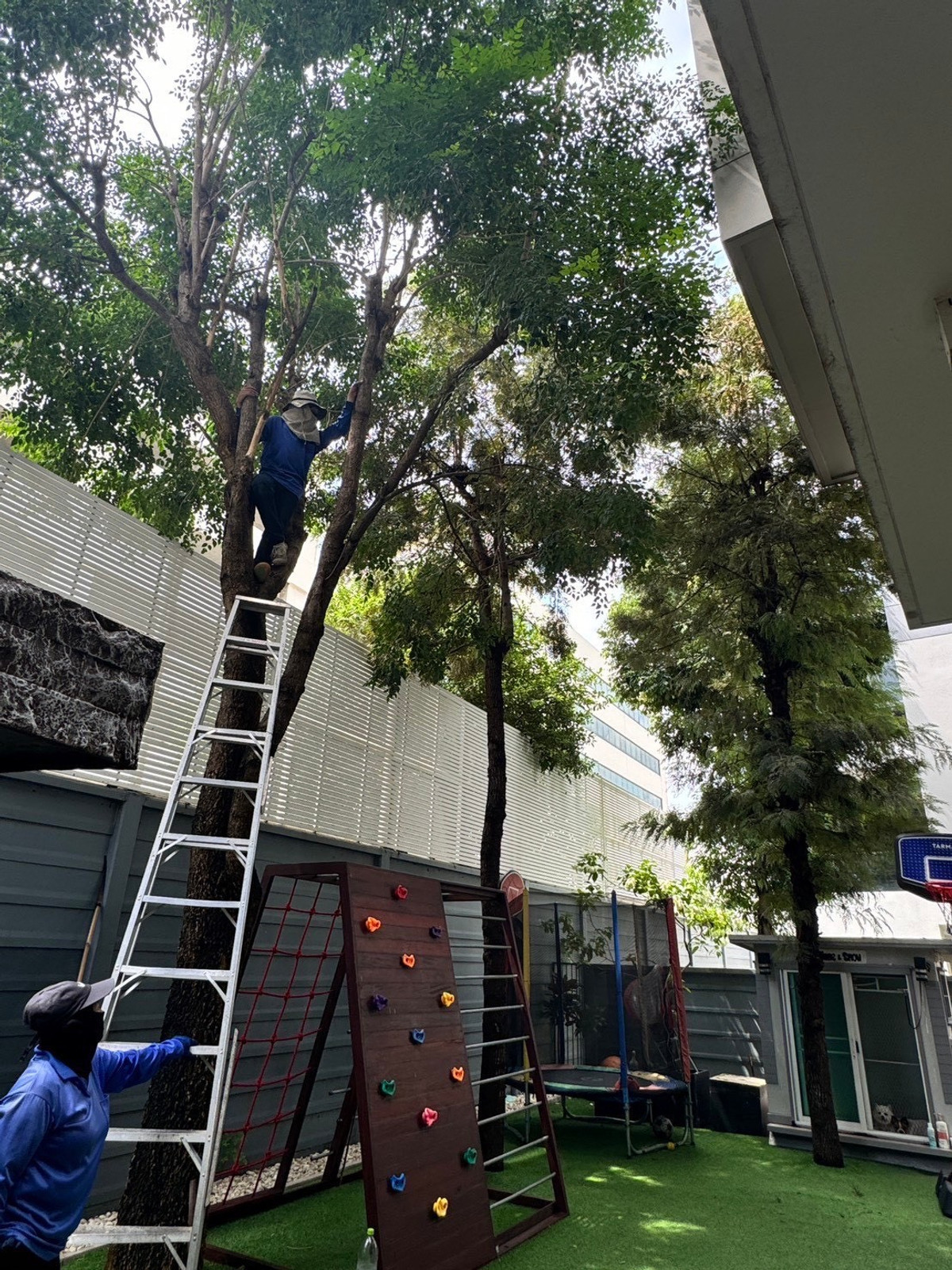 Parc Priva: 58.3sqwah 296sqm. 4bed 4bath + Maid room 46,000,000 Am: 0656199198