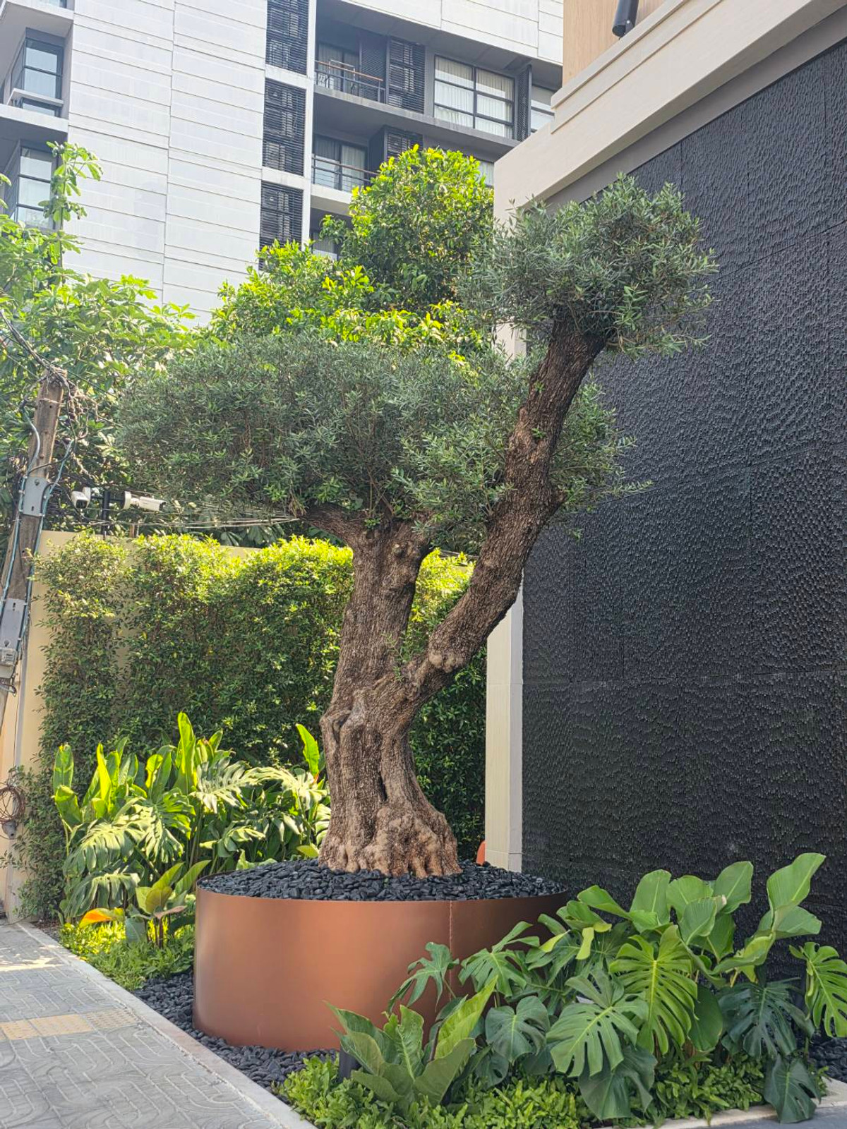 Via 61: Penthouse 3bed 3.5bath 188.71sqm. 53,200,000 Am: 0656199198
