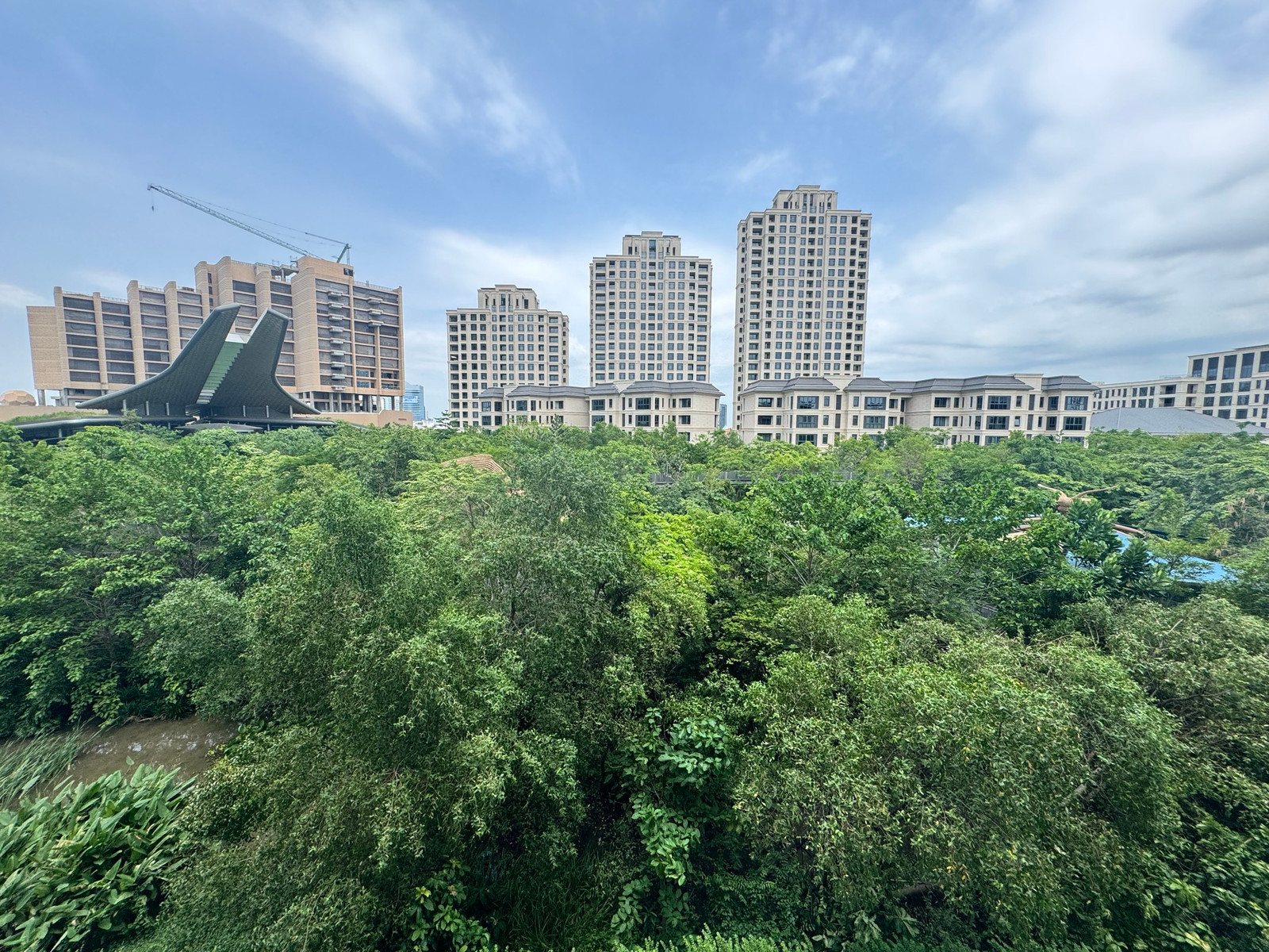 Mulberry Grove The Forestias: Careberry Tower 99.59sqm. 2bed 2bath 100,000/mth. Am: 0656199198