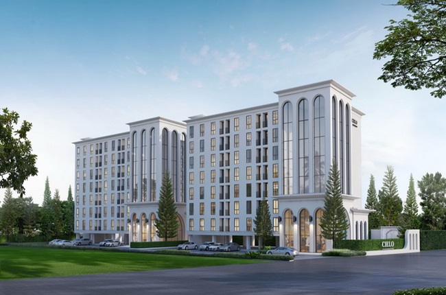 banner-project-details